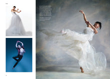 Load image into Gallery viewer, David Cooper Body of Work